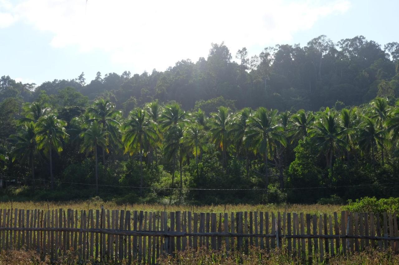 Palayan Paradise Huts San Vicente  Eksteriør bilde